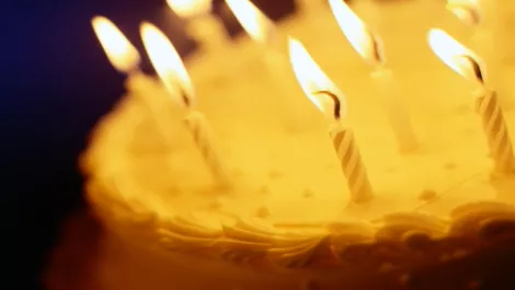 Synnex to celebrate birthday in style