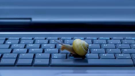 Neglect of Northland's internet speed disgraceful, says Winston