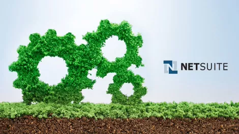 The new word that should replace 'cloud' in NetSuite's vocab
