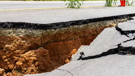 Ingram Micro NZ assesses quake damage ahead of Showcase; people 'are the priority'