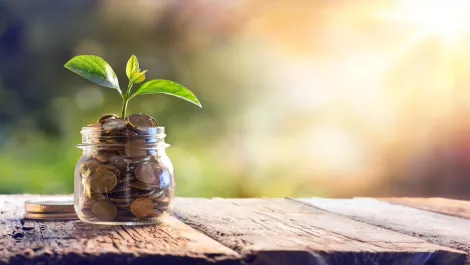 Desperately seeking funding: Youth life skills programme turns to crowdfunding