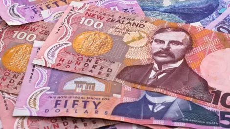 Synnex NZ back in black after strong revenue growth
