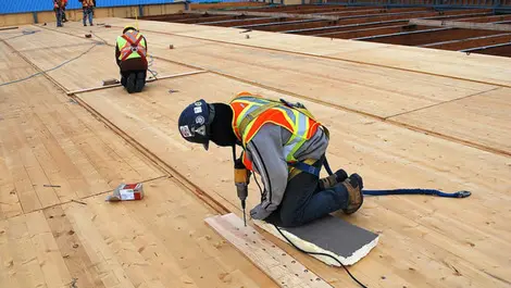 Auckland housing report to boost construction?