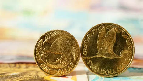 Volume and software business drive increased revenue for Dicker Data NZ