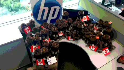 Well, I'll be dammed… Ingram resellers beaver away on HP promotion