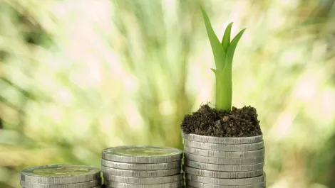 Strong local growth driving new vendor opportunities for Exclusive