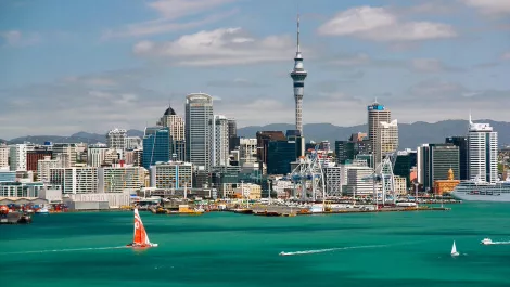 IT remains NZ's highest earning industry as Auckland and Wellington battle for best wages
