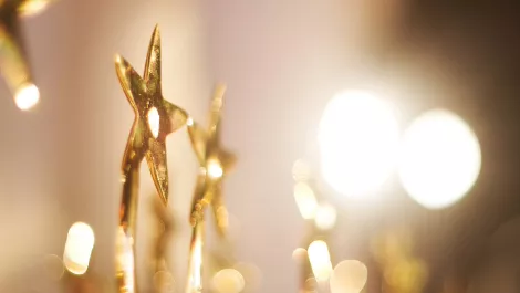 Gallery: McAfee's 2018 partner award winners are...