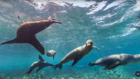 Five ways to use Google Earth to explore the world