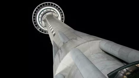 Kiwi bosses set to take the plunge for charity