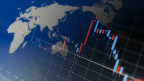 Arrow ECS NZ reports mild profit increase in FY19