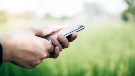 Spark boosts rural wireless broadband capacity to meet COVID-19 demand